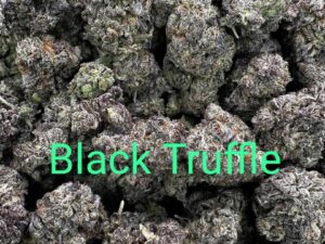 black truffle strain