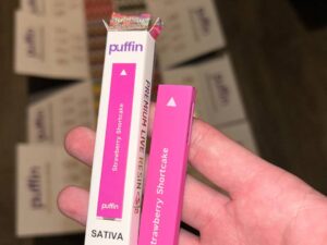 puffin disposable